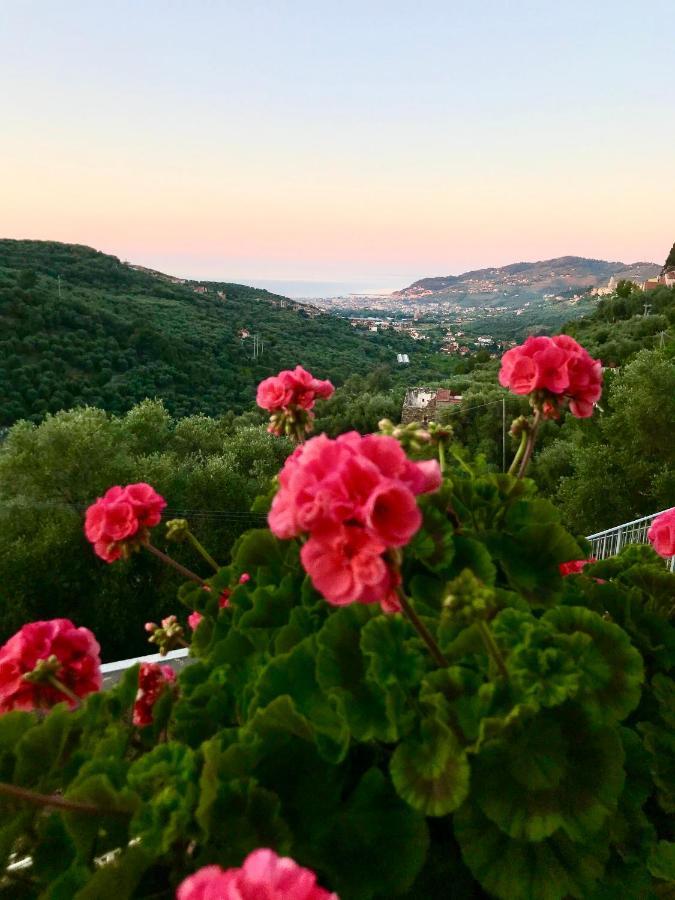 Piccola Navetta Appartement Diano San Pietro Buitenkant foto
